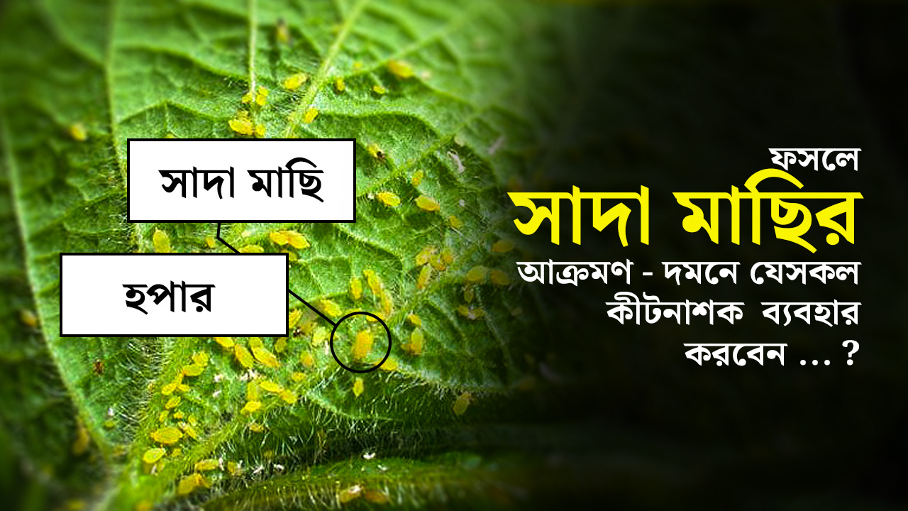 Blog featured image
