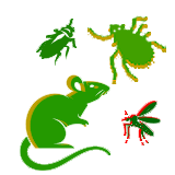 ছারপোকা, মশা, তেলাপোকা, ইদুর