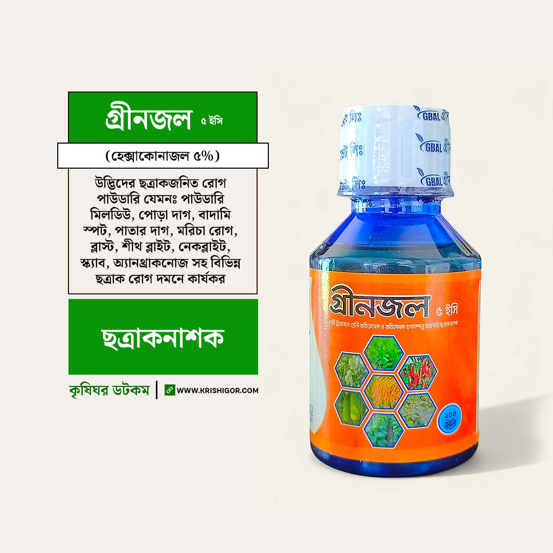 Qiz va tayoq ortasidagi jinsiy aloqani tomosha qiling