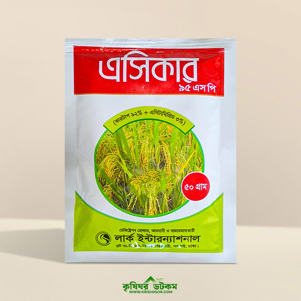 এসিকার ৯৫ এসপি (কার্টাপ ৯২% + এ্যাসিটাপ্রিমিড ৩%) কীটনাশক Acecar 95 SP Cartap + Acetamiprid Insecticide