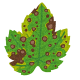 ছত্রাকনাশক