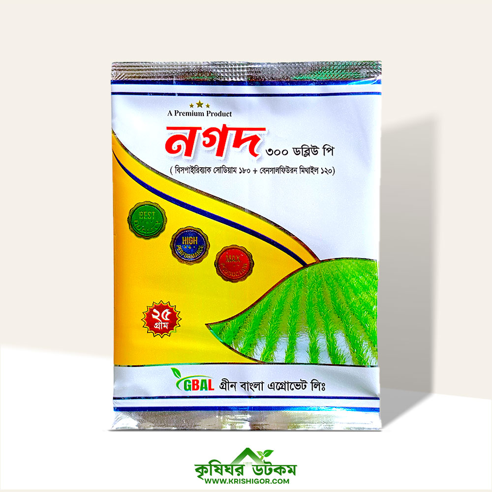 Жас латина порно онлайн көру