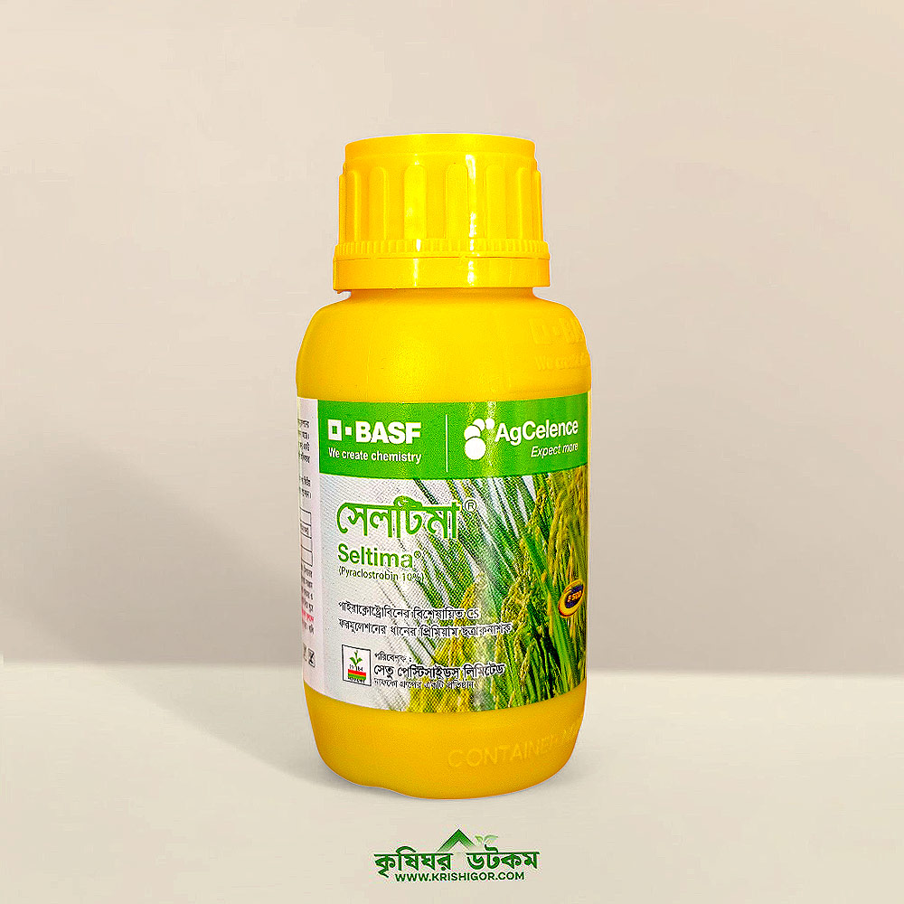 Kamchatkaning yalangoch dumlari