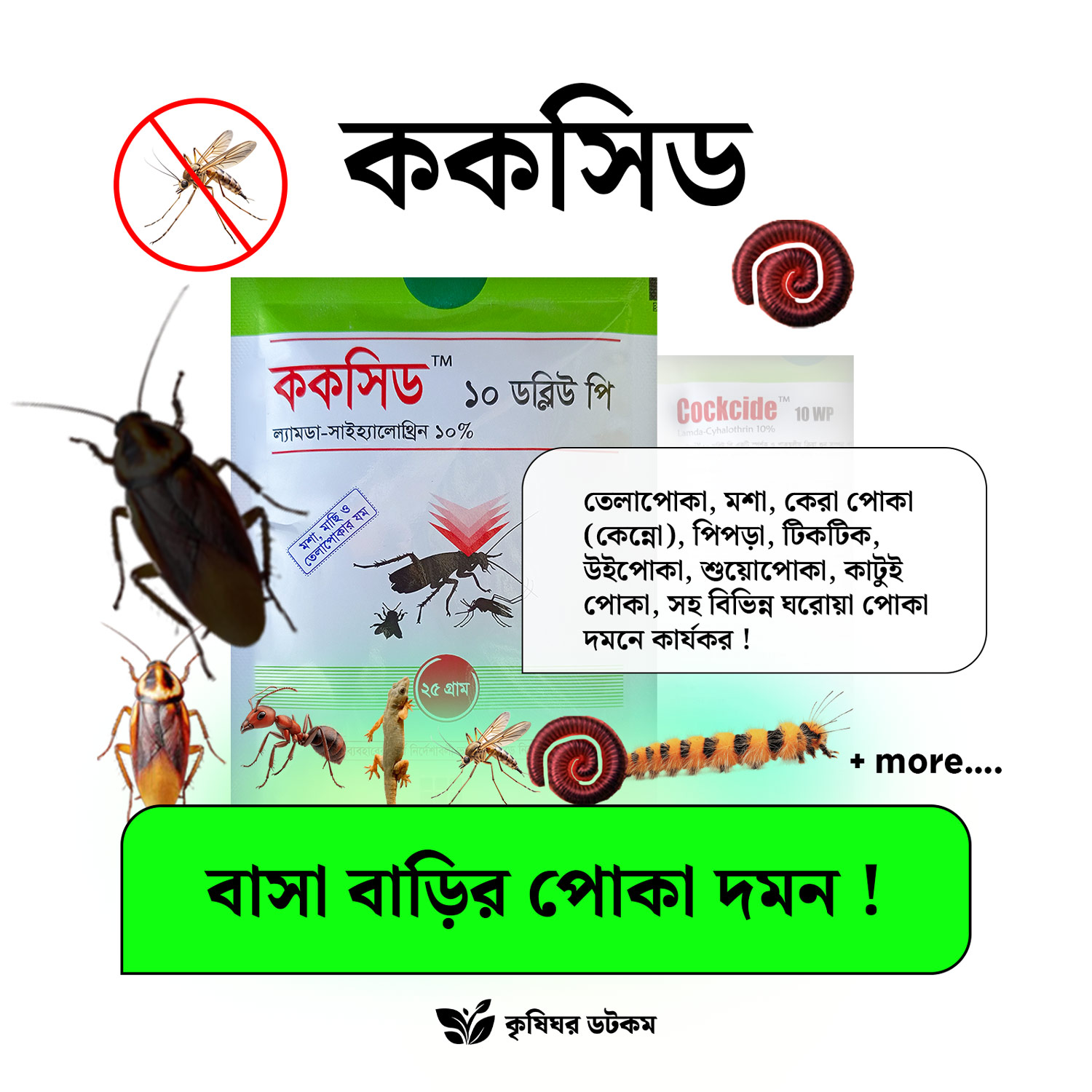 ককসিড ১০ ডব্লিউপি (ল্যামডা সাইহ্যালোথ্রিন) মশা, মাছি, তেলাপোকা দমন