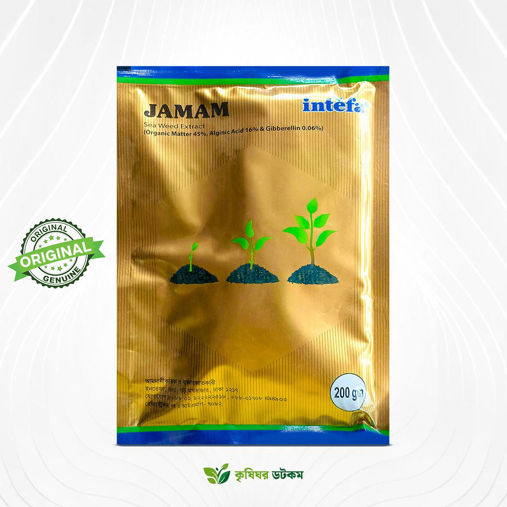 জামাম সামুদ্রিক শৈবাল নির্যাস জৈব উদ্দীপক - ইনতেফা