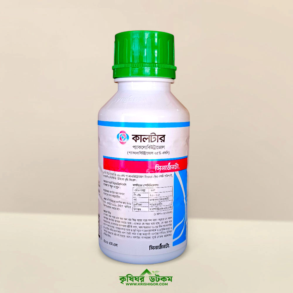 Kelinning seksual tong