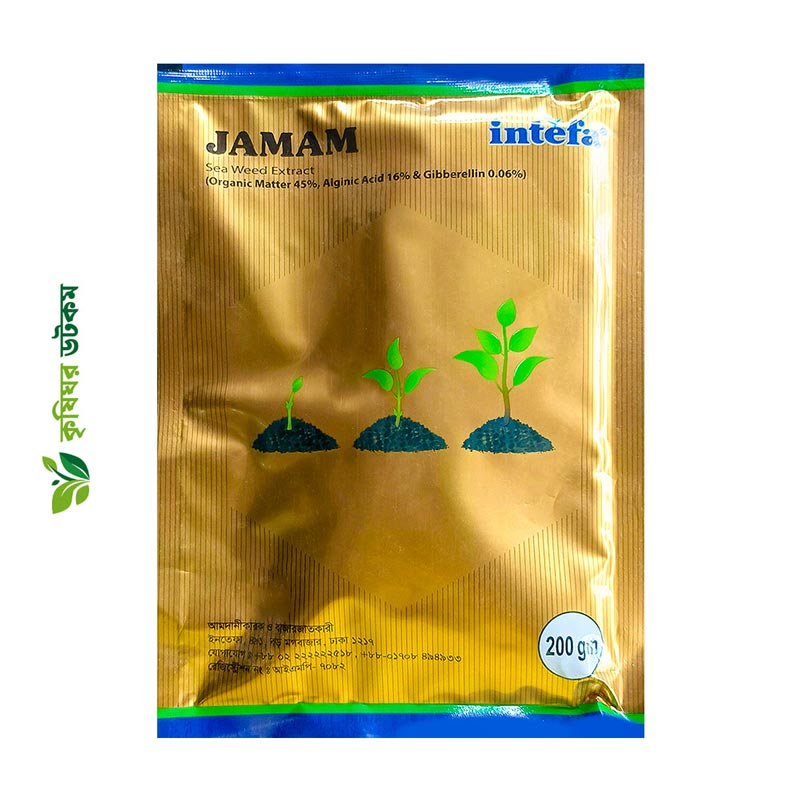 জামাম সামুদ্রিক শৈবাল নির্যাস জৈব উদ্দীপক - ইনতেফা