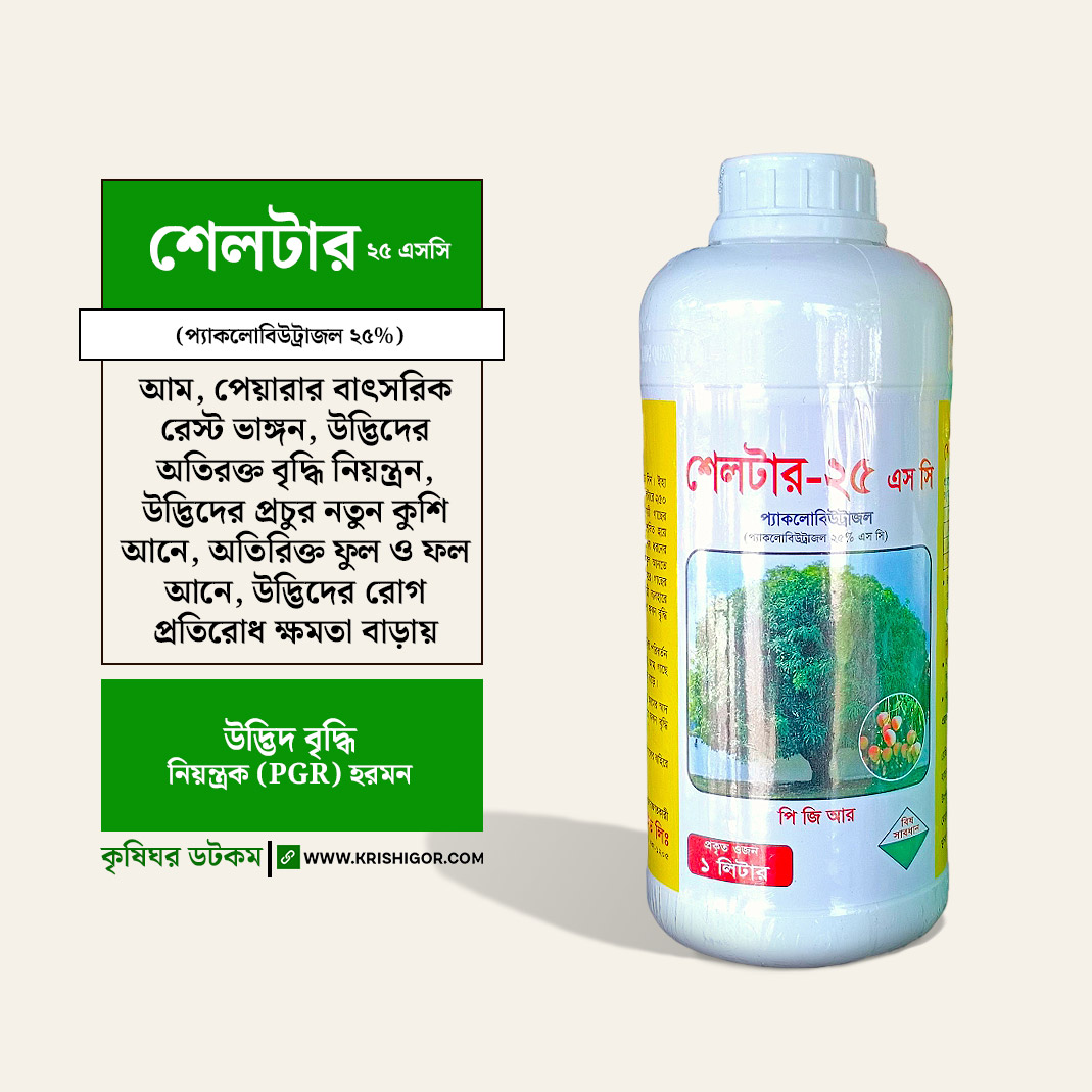 Busty onam va ikkita