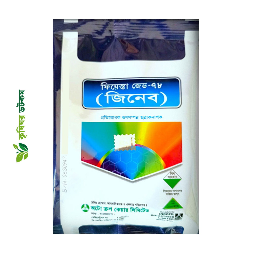 ফিয়েস্তা জেড-৭৮ ( জিনেব ) ZINEB-78