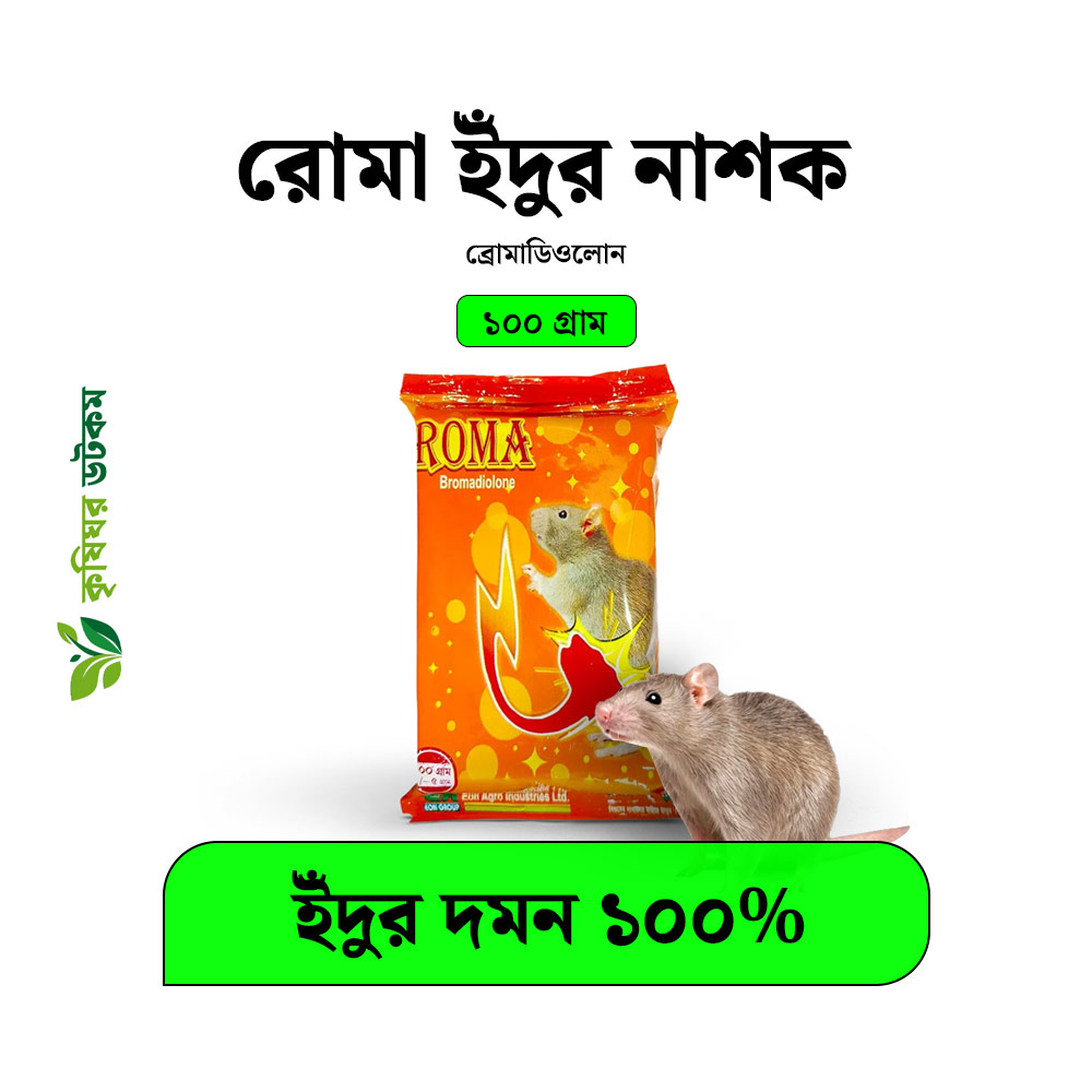 রোমা ইঁদুর নাশক (ব্রোমাডিওলোন) ROMA Bromadiolone Rat Killer 100 gm 1 Box