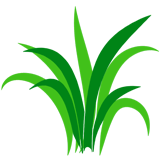 আগাছানাশক