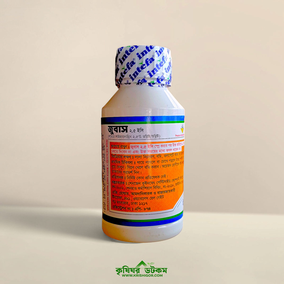 U hammom video uning mushuk bir dildo kiritilgan