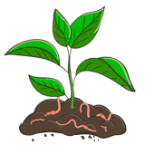 জৈব বালাইনাশক