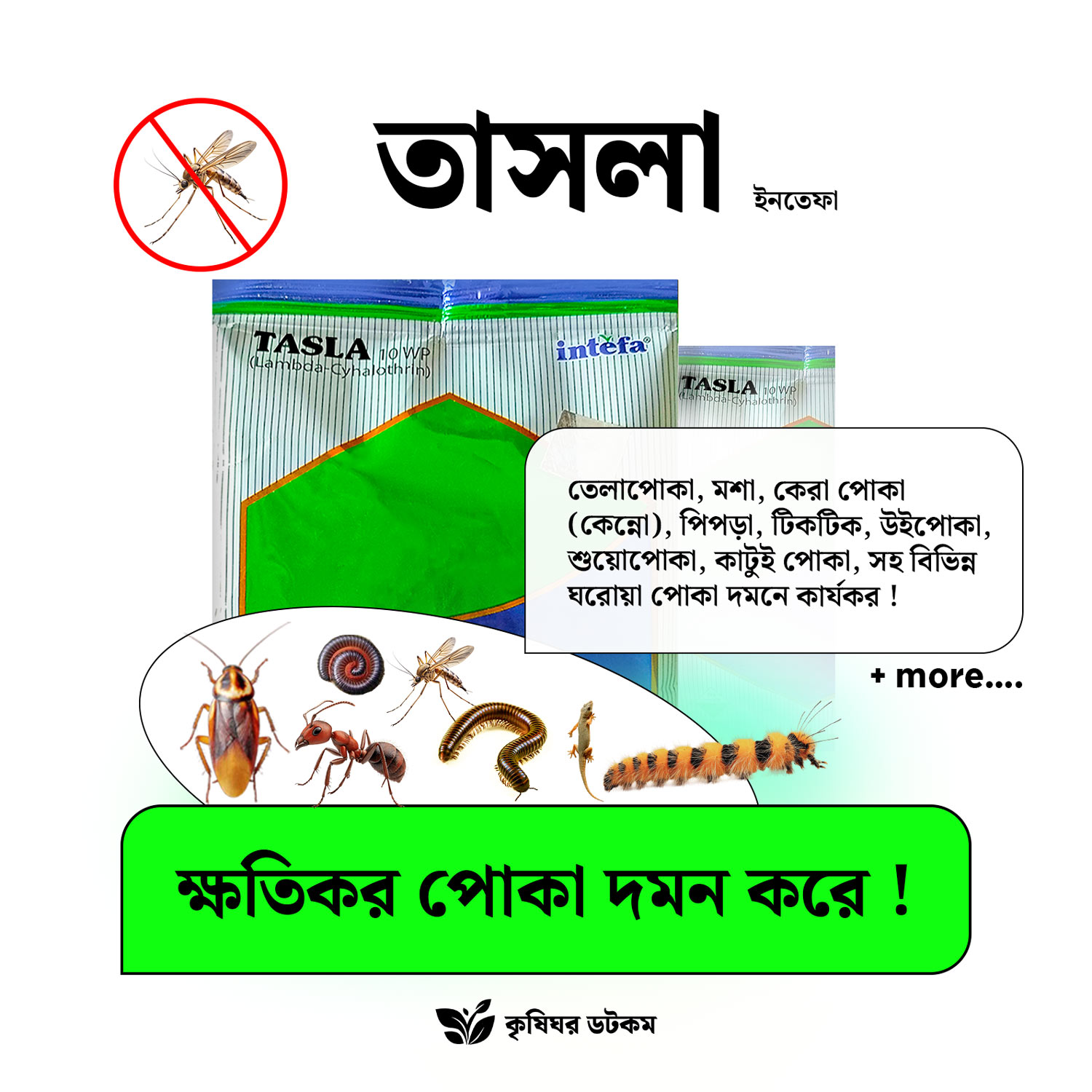 তাসলা ১০ ডব্লিউপি (ল্যামডা সাইহ্যালোথ্রিন) মশা, মাছি, তেলাপোকা দমন