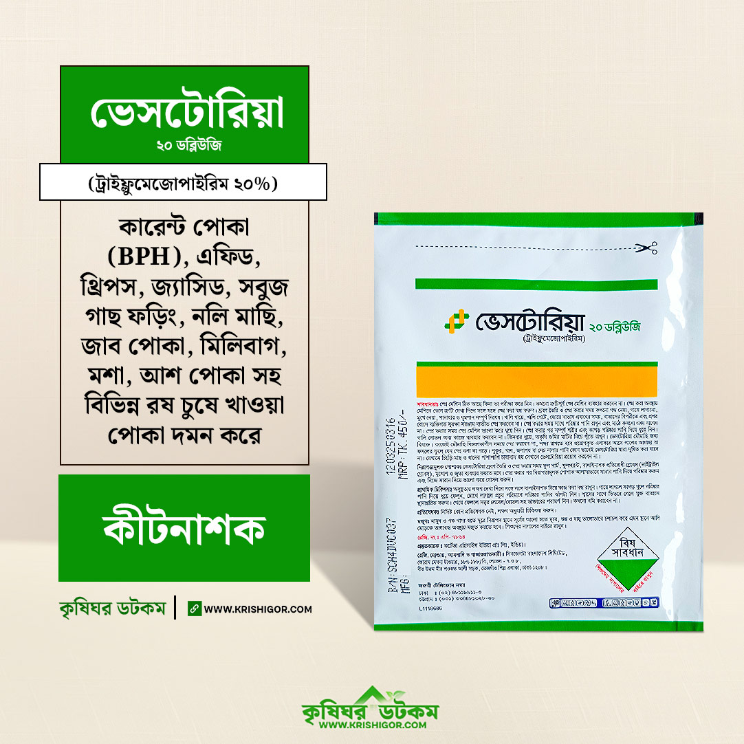 Yosh talabalarning qiz orgazmi bilan jinsiy aloqasi Ozarbayjon ayolini sikishyapti