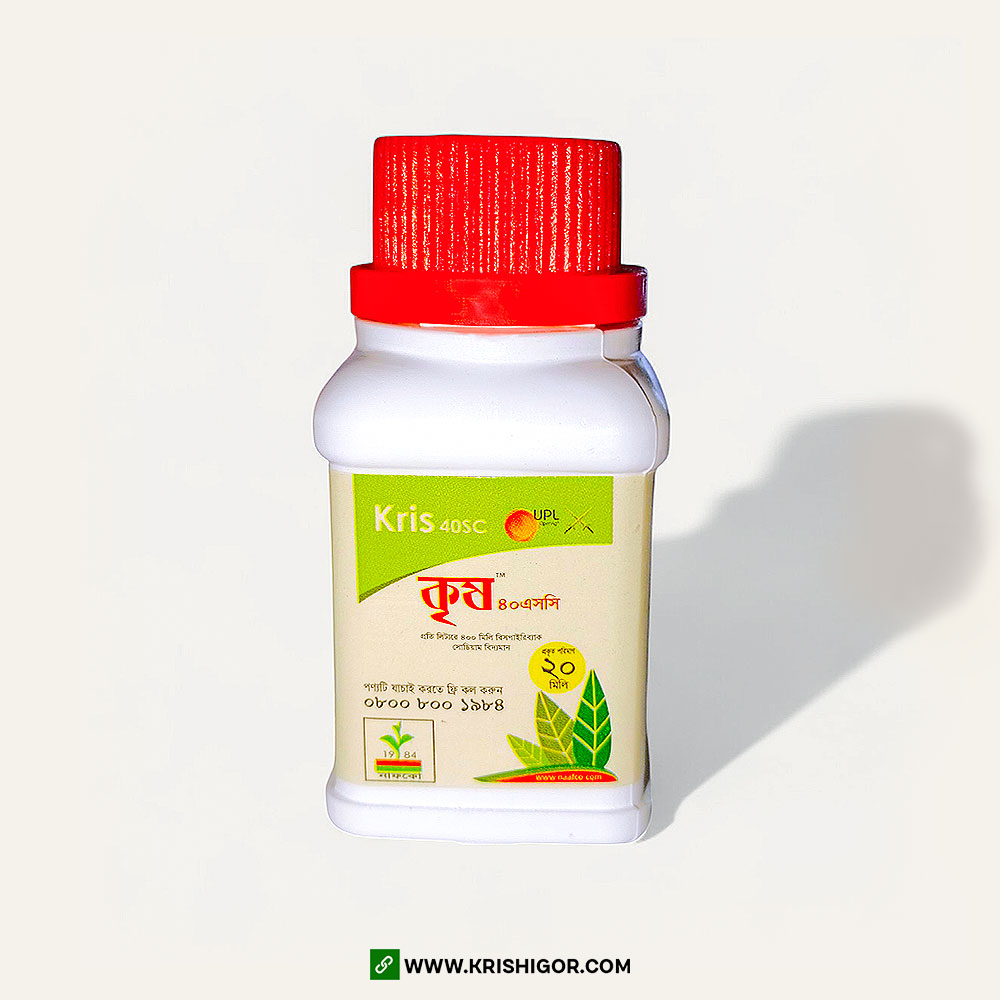 Ishtahani ochuvchi tombul qizlar porno video