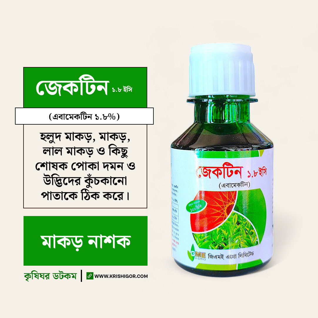 Bir kaltaklagandan keyin dumba surati Jinsiy aloqa, men hozir manga ketaman.