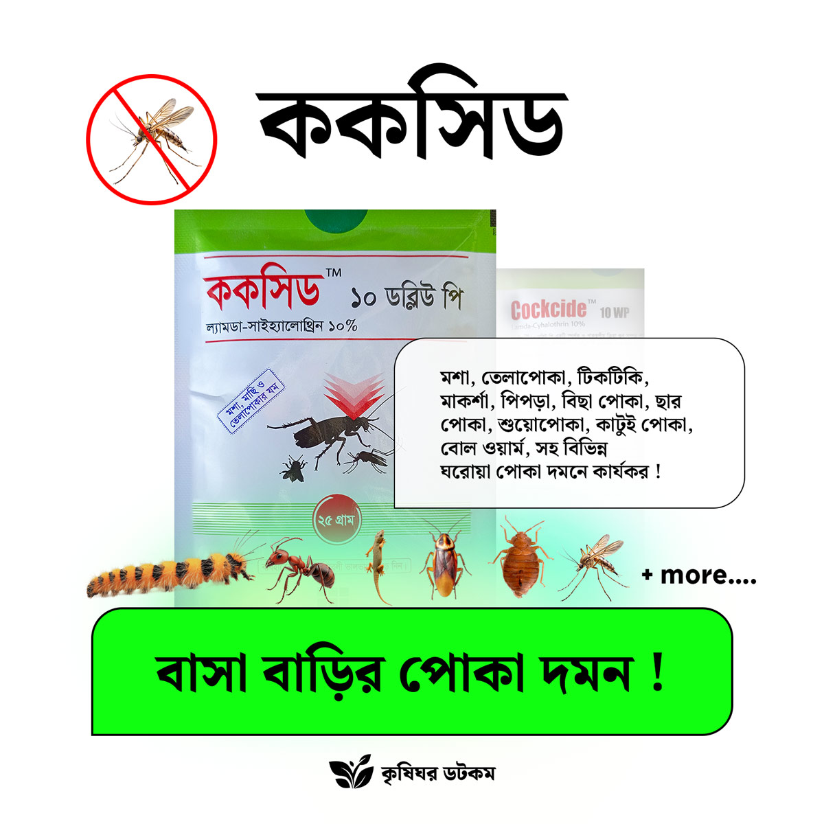 ককসিড ১০ ডব্লিউপি (ল্যামডা সাইহ্যালোথ্রিন) মশা, মাছি, ছারপোকা, তেলাপোকা দমন