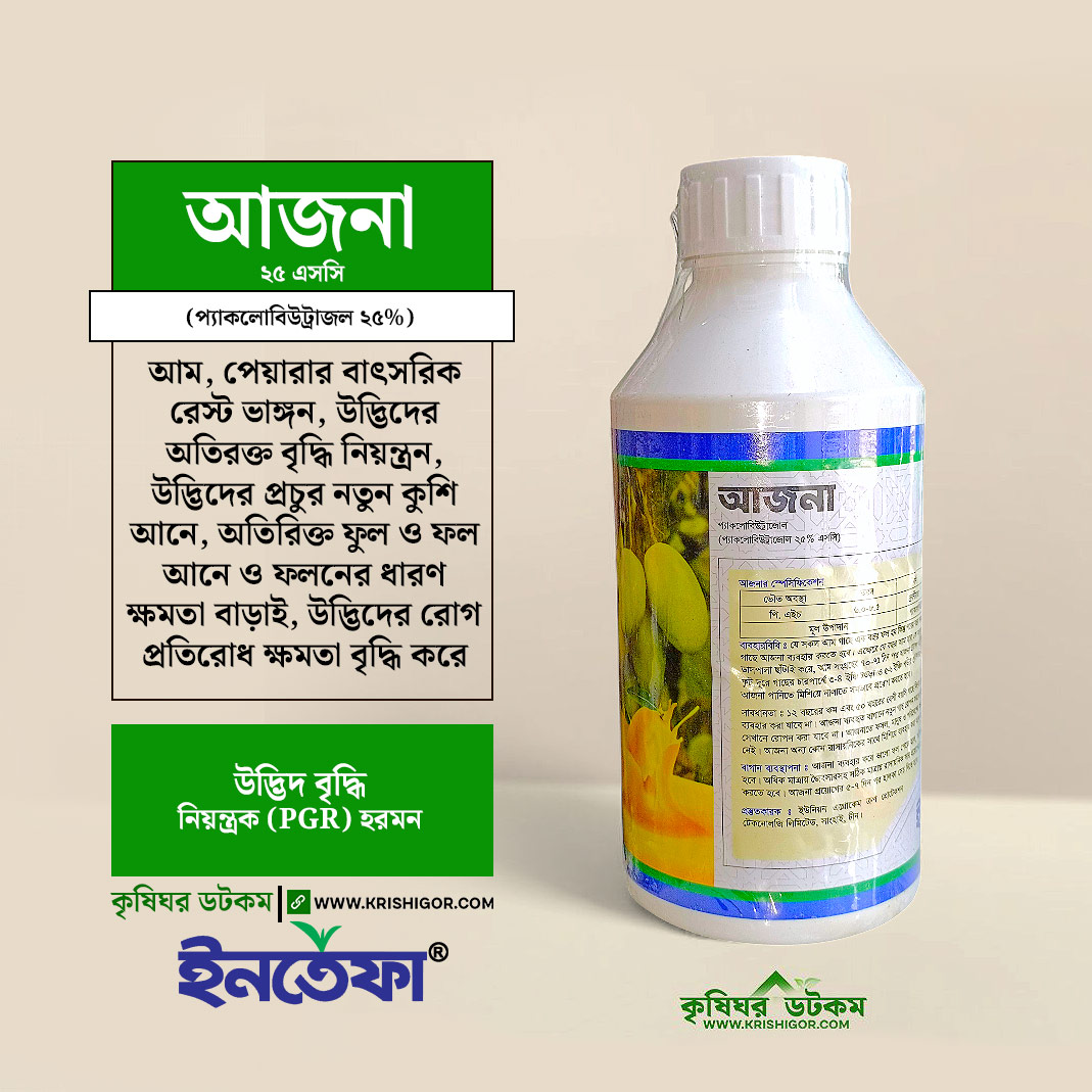 Porno jinni Rus cuckold hukmronligi